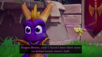 Spyro Reignited Trilogy_Spyro 2 (Switch)
